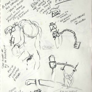 Schirmer Journal Torture 2007