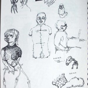 Schirmer Journal Threats 3 2005